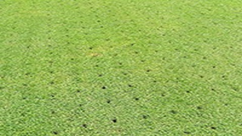 Regenerace_aerifikace03s-1-1024x576 | záhradníctvo garden team