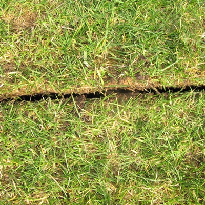 Verti-quake-4 | záhradníctvo garden team