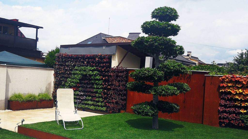 Corten a zelená stena | záhradníctvo garden team Corten a zelená stena