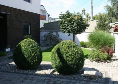 Záhrada bytča 2 5