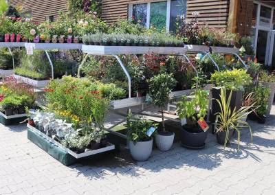 2019 jar garden team