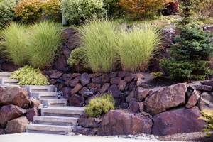 Adobestock_288674585 | záhradníctvo garden team