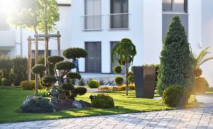 Adobestock_308545477 | záhradníctvo garden team