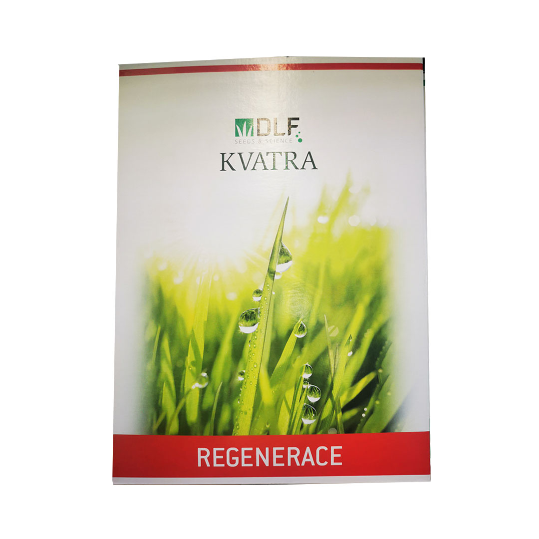 Trávne osivo dlf kvatra regenerácia 1kg | záhradníctvo garden team Trávne osivo dlf kvatra regenerácia 1kg