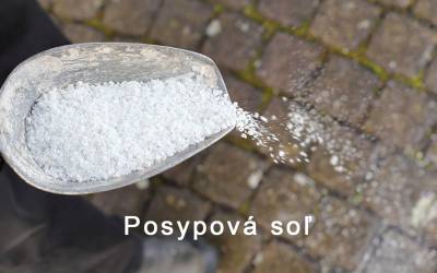 Posypová soľ