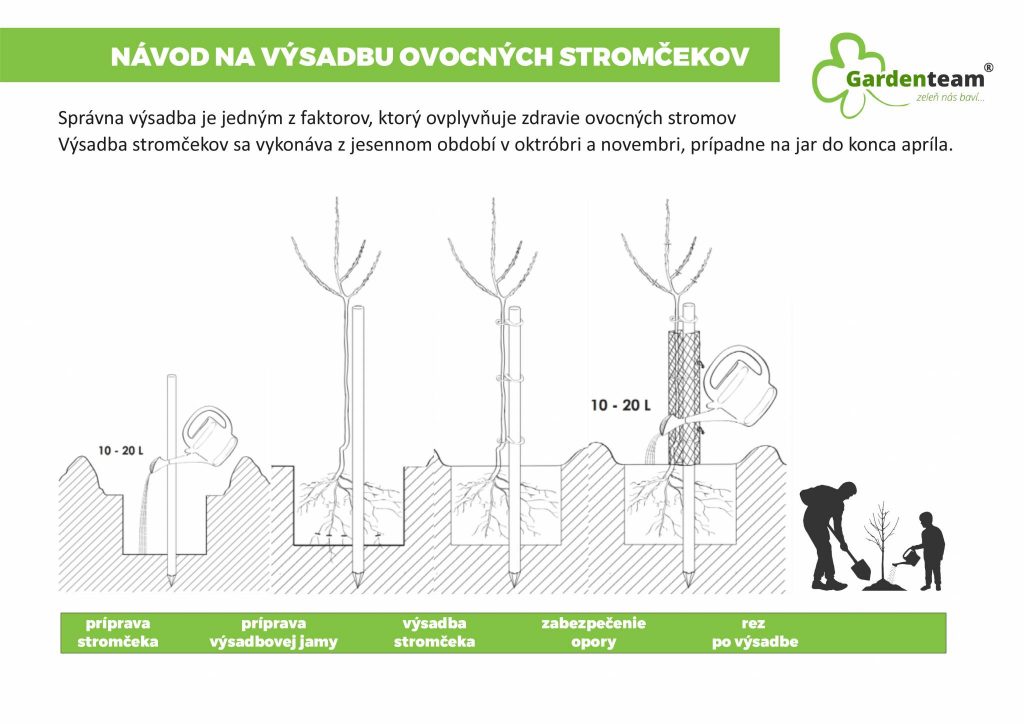 Vysadba-ovocne-stromy-gardenteam-zahradne-centrum | záhradníctvo garden team Návod na výsadbu ovocných stromčekov