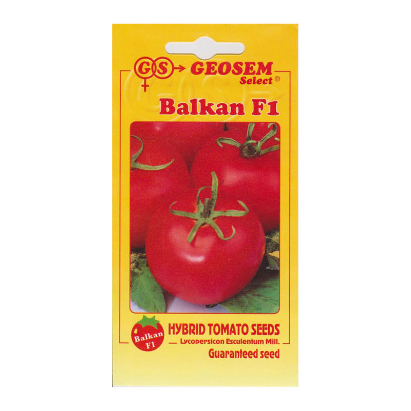 Rajčiak kolíkový balkan f1 | záhradníctvo garden team Rajčiak kolíkový balkan f1