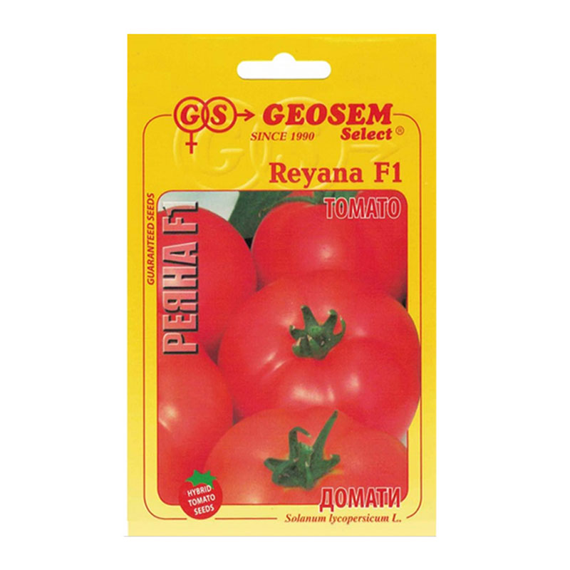 Rajčiak kolíkový reyana f1 | záhradníctvo garden team Rajčiak kolíkový reyana f1