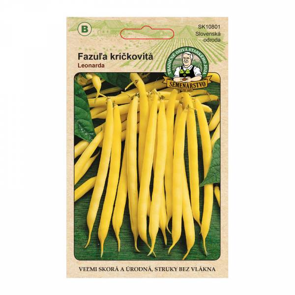 Fazuľa kríčkovitá Leonarda