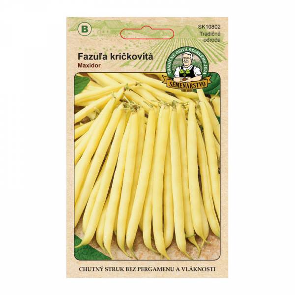 Fazuľa kríčkovitá Maxidor