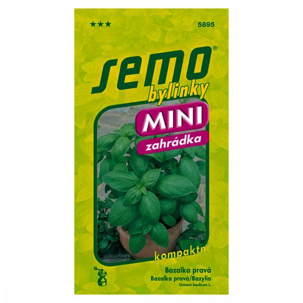 Semienka Bazalka pravá Mammolo Genovese