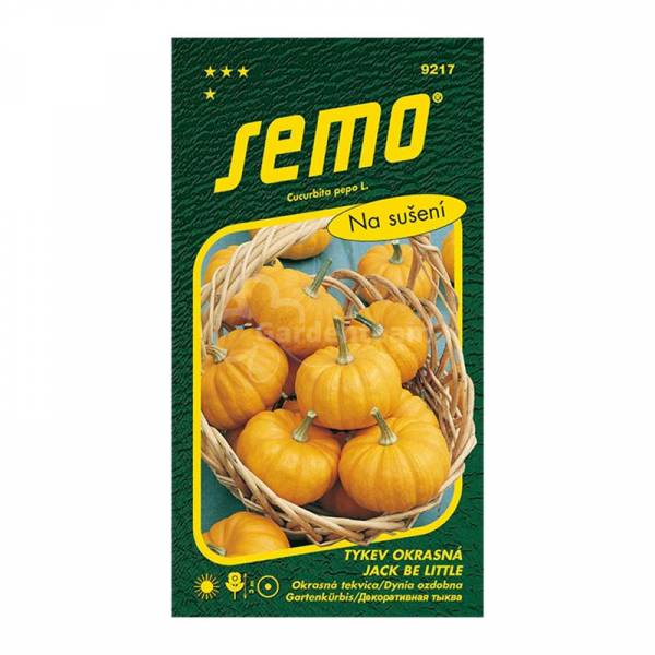 Okrasná tekvica Jack Be Little