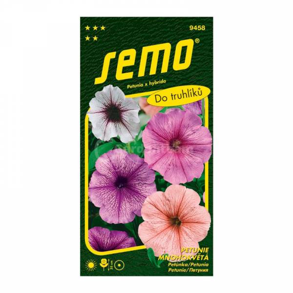 Petúnka hybridná mnohokvetá