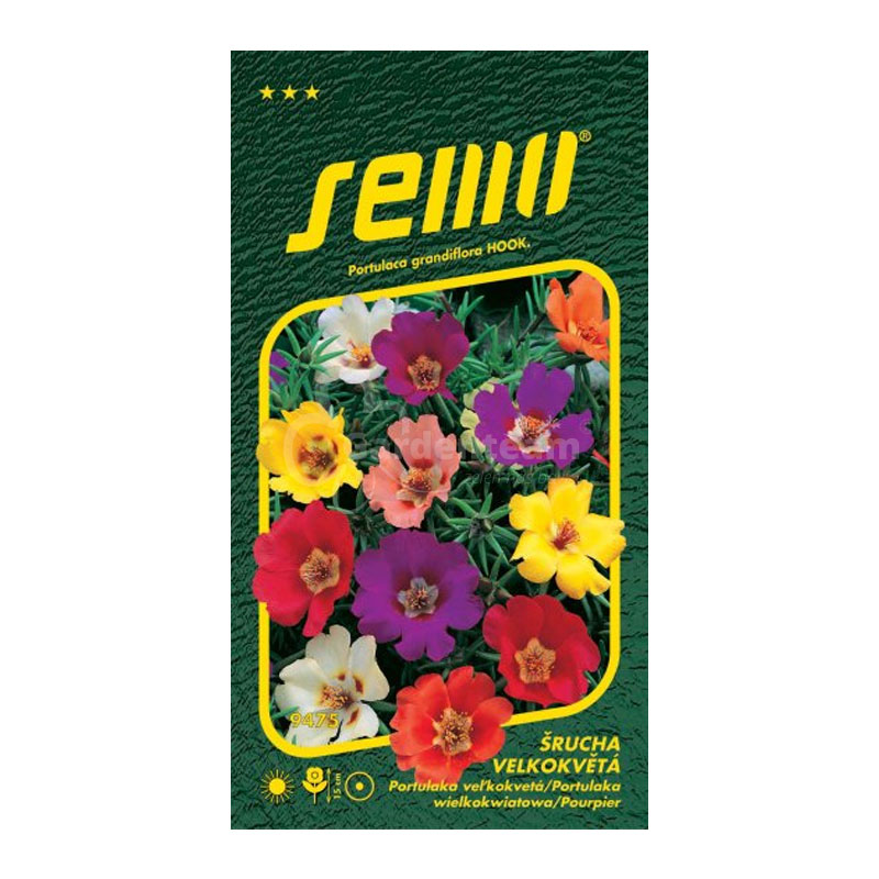 Portulaka veľkokvetá zmes | záhradníctvo garden team Portulaka veľkokvetá zmes