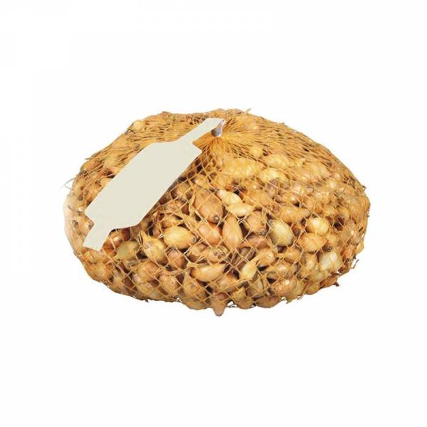 Cibuľa sadzačka všetana