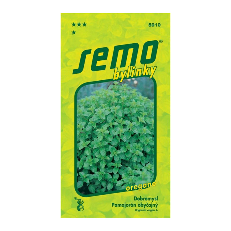 Pamajorán obyčajný oregano | záhradníctvo garden team Pamajorán obyčajný oregano