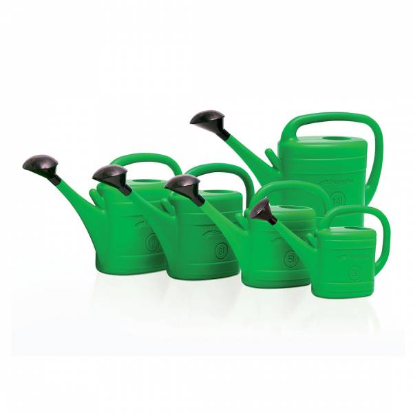 Krhla záhradná spring s ružicou | záhradníctvo garden team Krhla záhradná spring s ružicou
