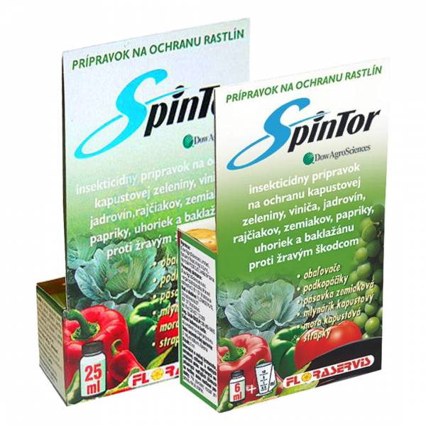 Spintor