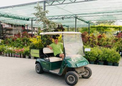 Green taxi garden team