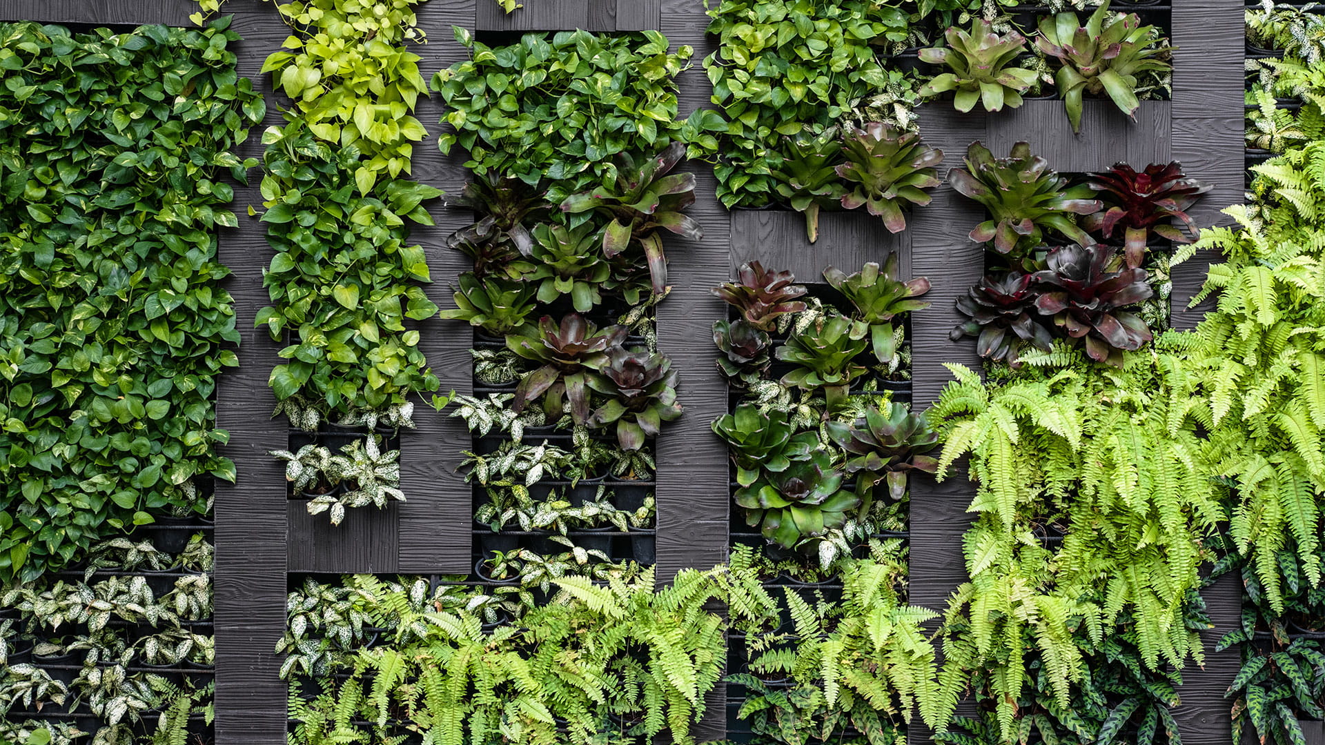 Postup inštalácia zelenej steny pixel garden krok 1