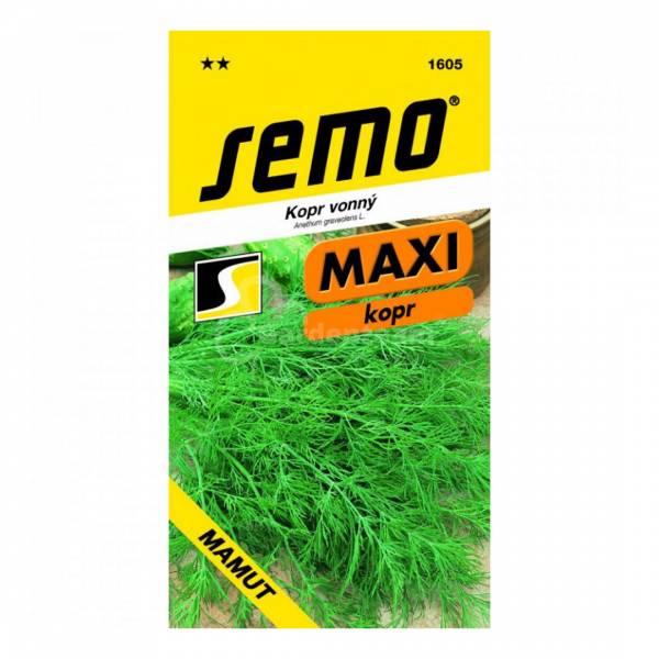 Semienka Kôpor voňavý Mamut
