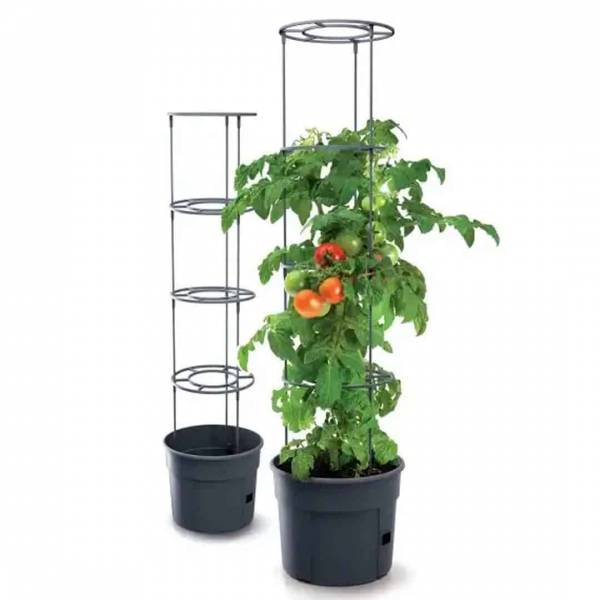 Kvetináč na pestovanie paradajok tomato grower