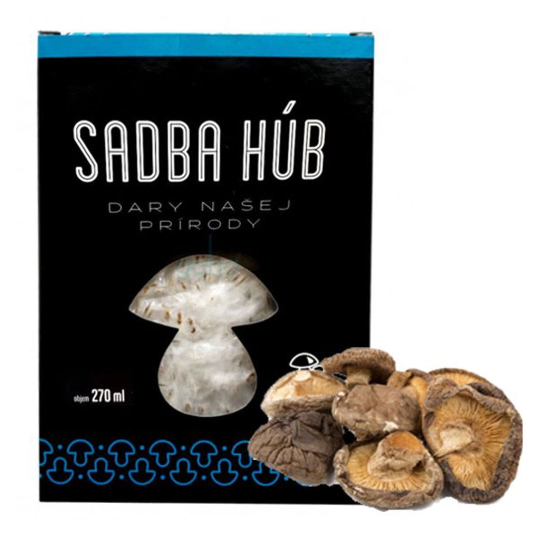 Shii take 270ml sadba | záhradníctvo garden team Shii take 270ml sadba