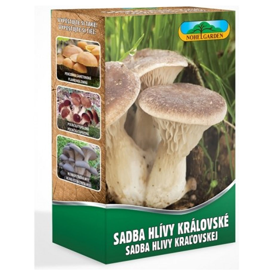 Sadba hlivy kráľovskej 270 ml | záhradníctvo garden team Sadba hlivy kráľovskej 270 ml