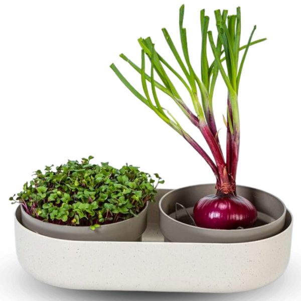 Klíčiaca miska microgreens + regrow | záhradníctvo garden team Klíčiaca miska microgreens + regrow