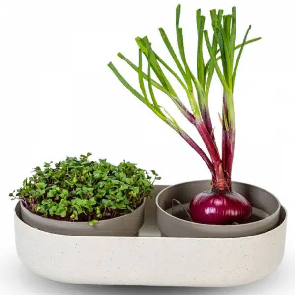 Klíčiaca miska Microgreens + ReGrow