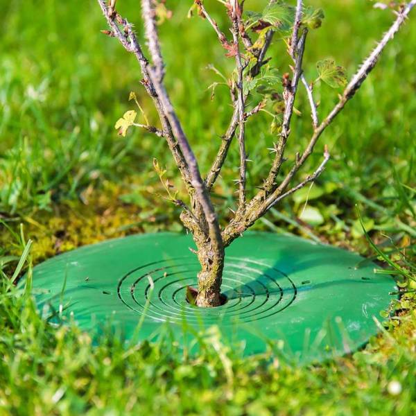 Ochrana stromo a krikov TreeGuard