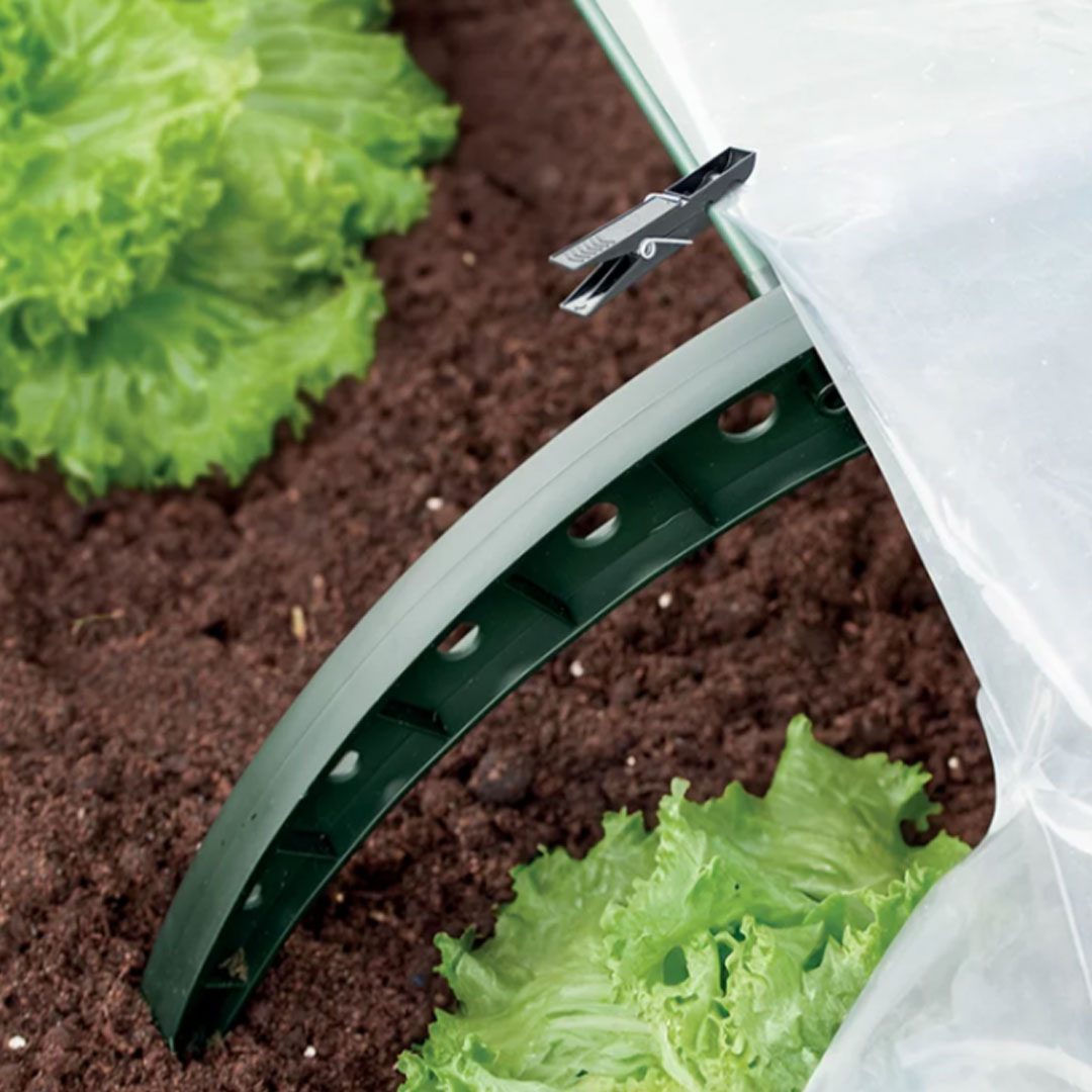 Fóliovník floo tunnels na zemi | záhradníctvo garden team Fóliovník floo tunnels na zemi