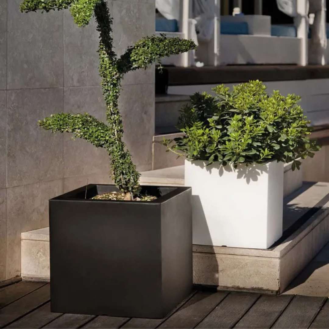 Exkluzívny kvetináč square atlantis xxl dark anthracite | záhradníctvo garden team Exkluzívny kvetináč square atlantis xxl dark anthracite