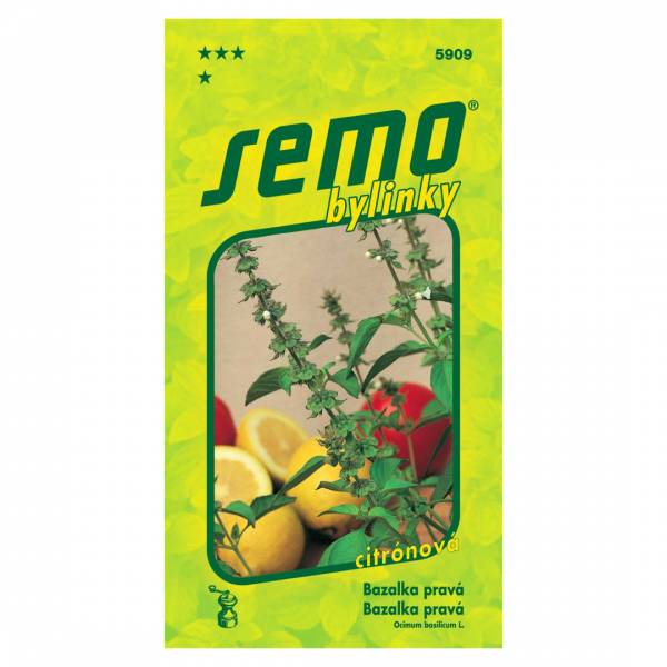 Semienka Bazalka pravá Lime