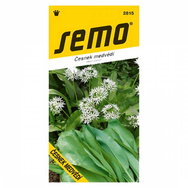 Semienka Cesnak medvedí