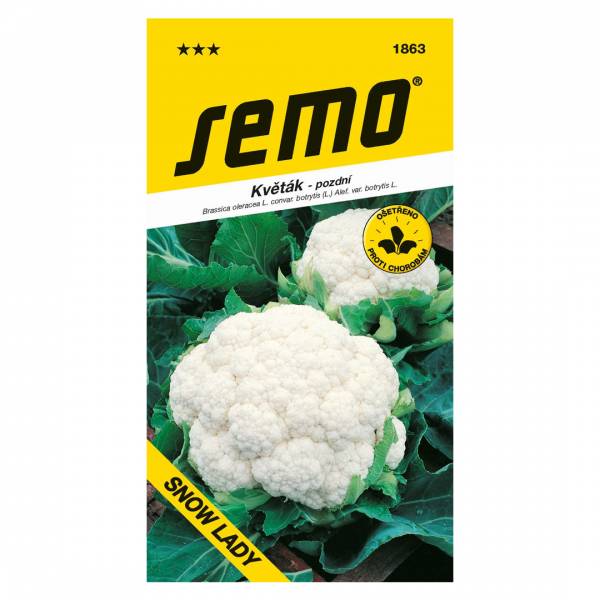 Semienka Karfiol Snow Lady