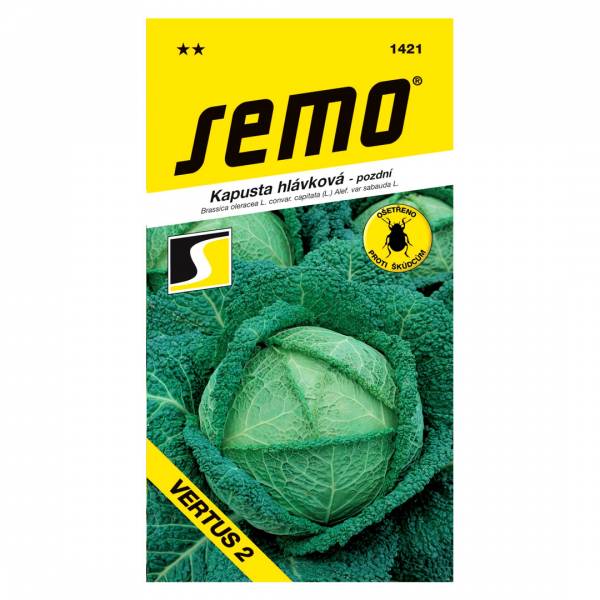 Semienka Kel hlávkový Vertus 2