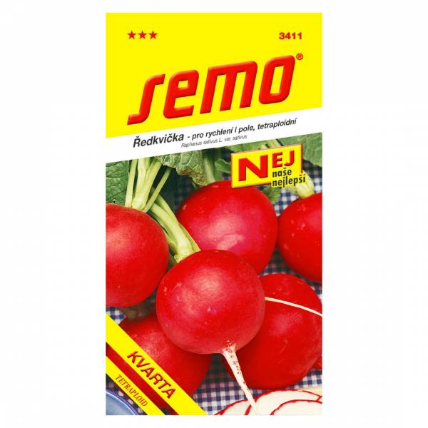 Semienka Reďkev Kvarta