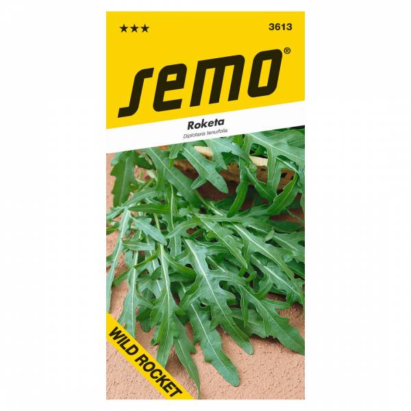 Semienka Roketa Wild Rocket