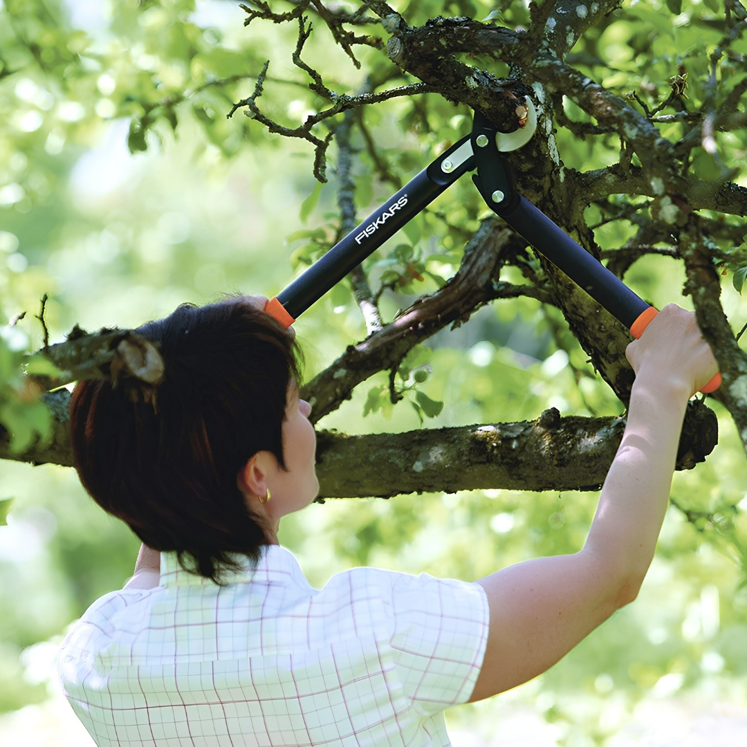 Nožnice na konáre fiskars powergear l70 02 | záhradníctvo garden team Orezávanie hrubých vetiev stromu v záhrade pomocou nožníc na konáre fiskars powergear™ l70