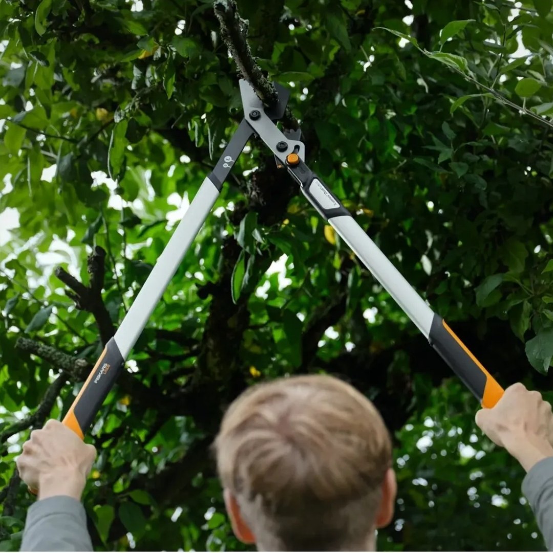 Nožnice na silné konáre fiskars lx108 x-series 03 | záhradníctvo garden team Záhradník strihá konáre s nožnicami fiskars lx108 x series