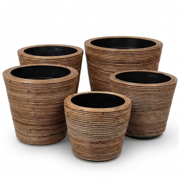 Five cylindrical woven baskets/plant pots with black interiors arranged together on a white background.