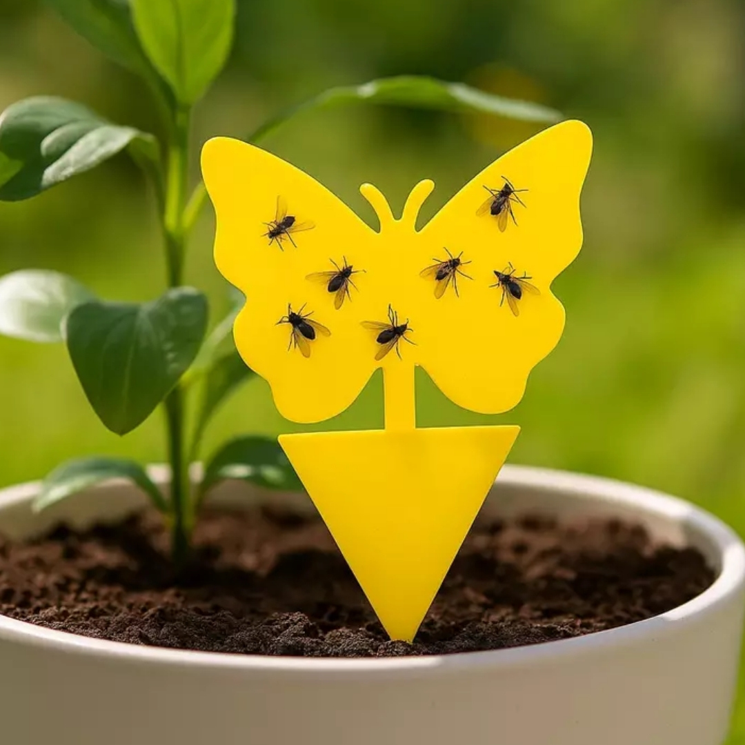 Zápichové lepiace dosky na chytanie hmyzu 01 | záhradníctvo garden team Žlté zápichové lepiace dosky na chytanie hmyzu v tvare motýľa účinne zachytávajú drobné mušky v kvetináči