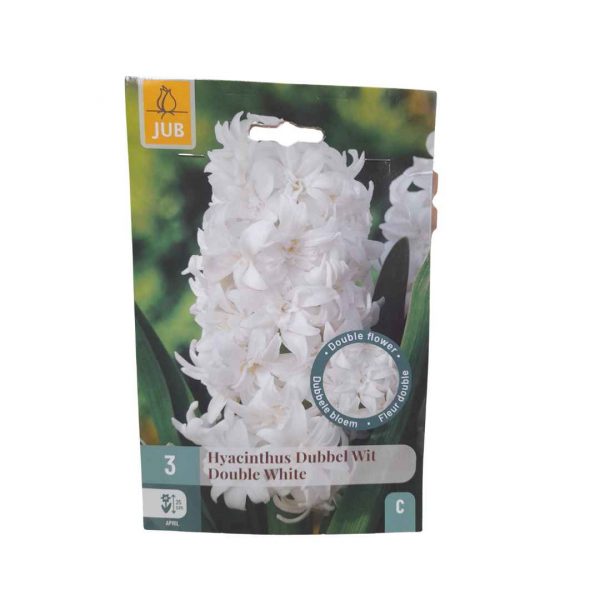 Hyacint Double White 3 cibule