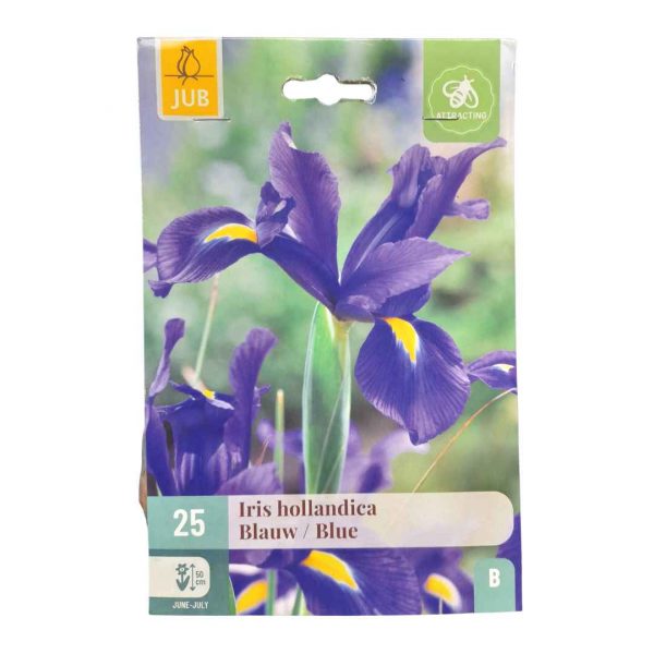 Kosatec Holandský Blue 25 cibúľ