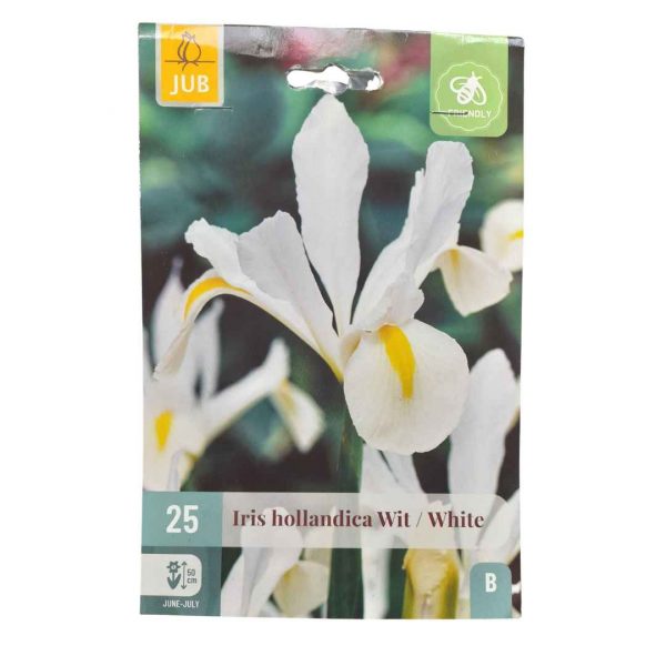 Kosatec Holandský White 25 cibúľ