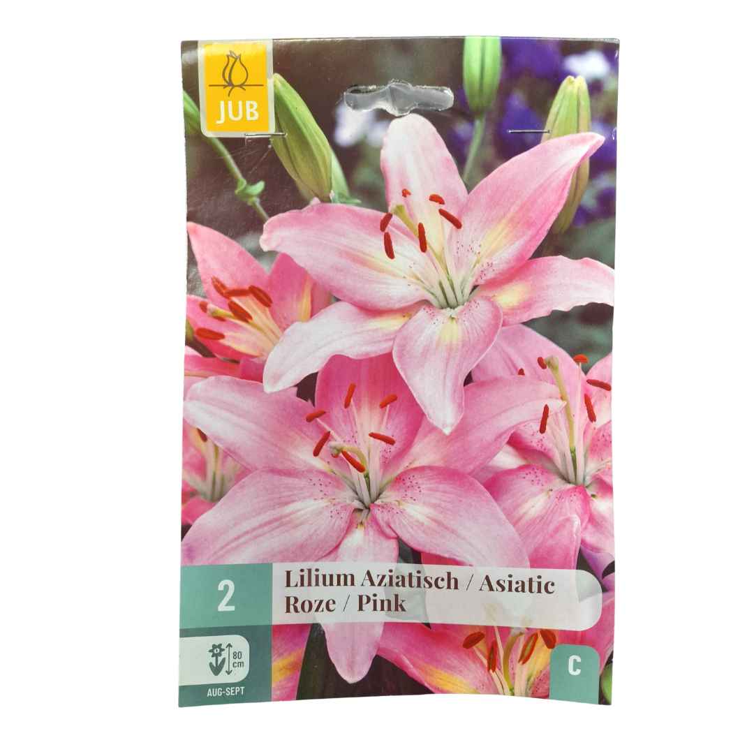 Ľalia Ázijská pink 2 cibule | záhradníctvo garden team Ľalia Ázijská pink 2 cibule