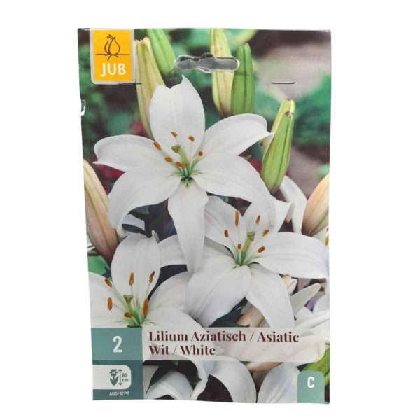 Ľalia Ázijská White 2 cibule