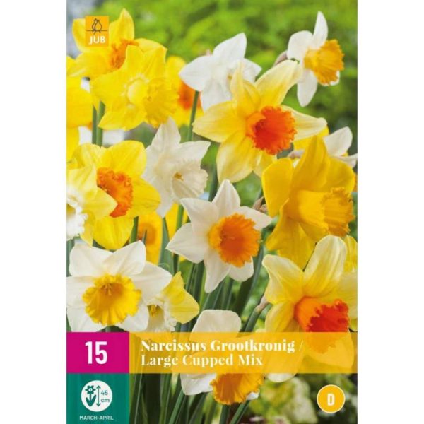 Narcis Grootkronig / Large Cupped Mix 15 cibúľ