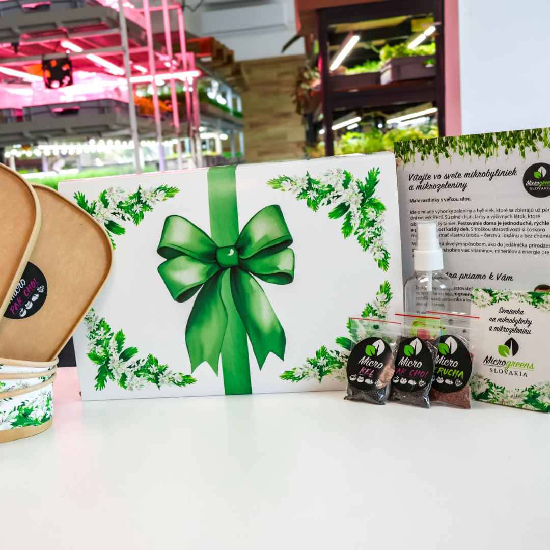 Pestovatelska-sada-mikrobylinky-restart-mala-2 | záhradníctvo garden team White gift box with a large green ribbon and festive greenery placed on a white counter beside microgreen seed packets labeled microgreens slovakia